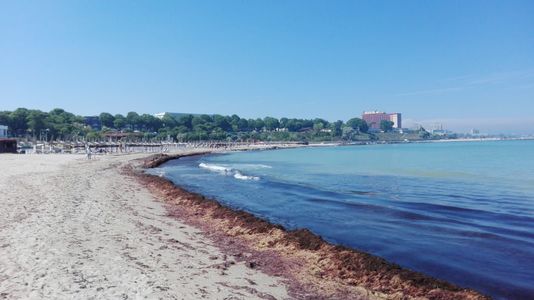 Apele Române: Plajele au fost curăţate şi pregătite pentru începerea minivacanţei de Rusalii
