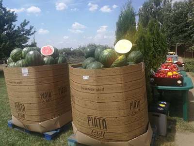 Lidl România: În august, 70% din legumele şi fructele vândute sunt din fermele din România
