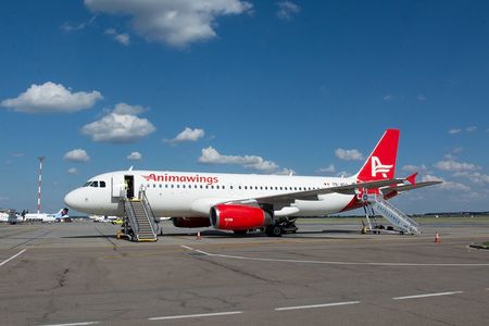 Compania aeriană românească Animawings, din care Aegean Airlines deţine 25%, a inaugurat primele sale curse 