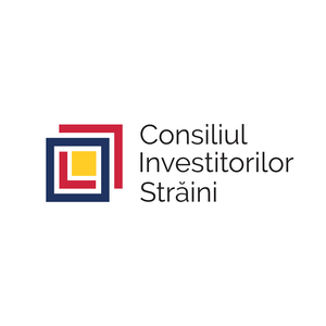 Consiliul Investitorilor Străini, nemulţumit de Guvern pentru introducerea de taxe prin ordonanţe de urgenţă netransparente în domeniul energiei
