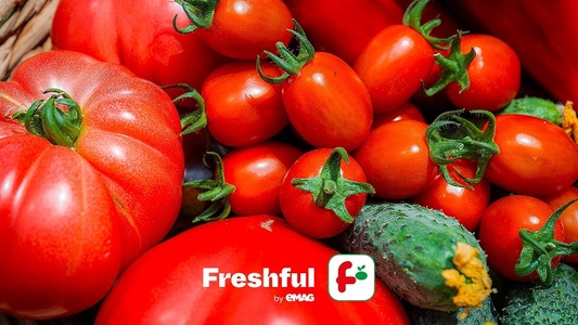 Hipermarketul online Freshful by eMAG anunţă că a vândut 700 de tone de fructe şi legume anul acesta, de trei ori mai mult faţă de 2022. 15% din bugetul alocat lunar pentru alimente este direcţionat către fructe şi legume 