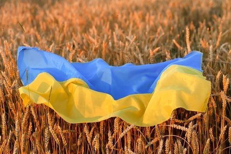 Fermierii ucraineni din prima linie se confruntă cu rachete ruseşti şi  preţuri minime