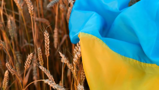 Ministerul Agriculturii propune instituirea unor măsuri de reglementare a importurilor de produse agricole din Ucraina sau Republica Moldova / Sunt vizate grâul, porumbul, seminţele de rapiţă sau de rapiţă sălbatică şi seminţele de floarea-soarelui