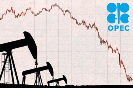 OPEC se confruntă cu o slăbire a cererii pentru ţiţeiul său în prima jumătate a anului 2024