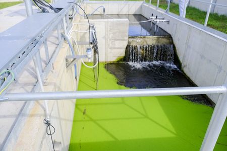 O staţie de epurare a apelor uzate a fost finalizată în Medieşu Aurit, investiţie de 20 milioane lei fără TVA