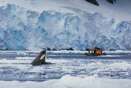 O agenţie de turism din România organizează în premieră o croazieră de lux în Antarctica, cu spărgătorul de gheaţă, care costă peste 14.000 de euro: ”Cererea pentru croaziere de lux s-a dublat în ultimii doi ani”