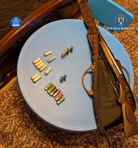 UPDATE - Operaţiunea Jupiter 4 – Mai multe dosare care vizează tăieri ilegale de arbori şi transport de lemne fără documente, intrumentate / Mii de arbori tăiaţi ilegal din Parcul Natural Munţii Maramureşului / Prejudiciu de sute de mii de lei