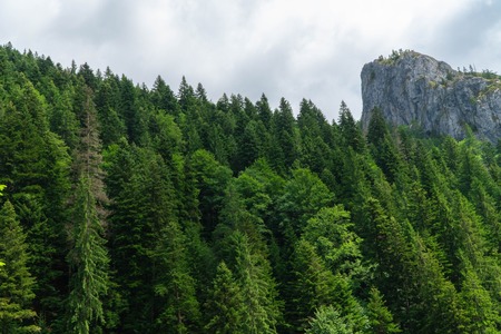 Ministerul Mediului anunţă că deschide procesul de selecţie pentru ocuparea a patru posturi în Consiliul de Administraţie al Romsilva şi al Administraţiei Naţionale de Meteorologie