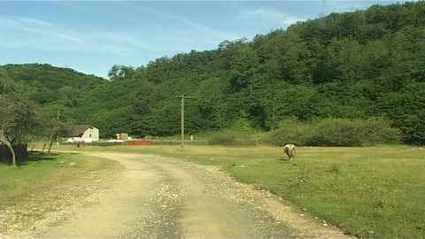 Romsilva anunţă recuperarea definitivă a peste 4.600 de hectare din pădurea Nadăş, după două decenii de litigii