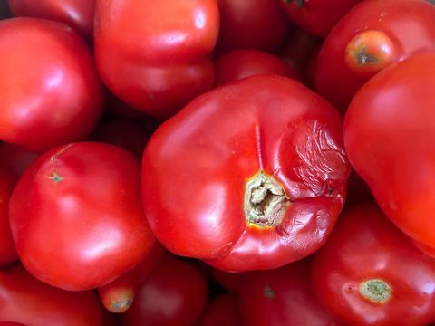 Amenzi de peste 5 milioane de lei, date de ANPC în această săptămână / Activitatea a nouă operatori economici, oprită temporar / Printre nereguli: alimente expirate, produse cu ambalaje depreciate, acumulări de gheaţă în ambalajul produselor congelate