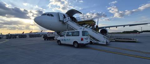 ANSVSA: În premieră, România livrează peste 4.000 de oi în Algeria cu avioane cargo/ Algeria a decis ca întreg necesarul pentru anul 2026, inclusiv pentru sărbătoarea Eid el-Adha, să fie asigurat exclusiv din România - FOTO