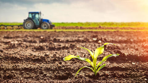 AFIR: Finanţări nerambursabile de până la 50.000 de euro/proiect pentru investiţii în ferme mici sau pentru cumpărarea de maşini agricole. Depunerea dosarelor, în septembrie