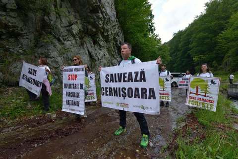 Agent Green: Nouă victorie importantă pentru Parcul Naţional Domogled - Valea Cernei la Înalta Curte de Casaţie şi Justiţie / Dosarul vizează un amenajament silvic prin care au fost autorizate tăieri considerate ilegale