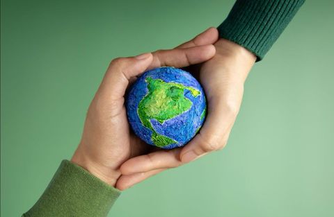 Avertisment Deloitte România pentru companii, în contextul noilor reguli UE pentru ambalaje: În cazul vânzărilor directe, producătorii români pot să devină titularii obligaţiilor în fiecare stat în care produsele ambalate sunt introduse pe piaţă