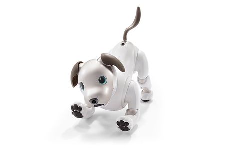 Sony lansează o nouă versiune a câinelui-robot Aibo