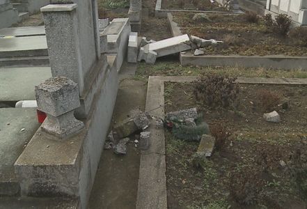 Un cimitir din Arad a fost vandalizat, numeroase cruci fiind distruse. FOTO