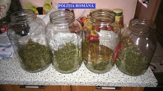 Peste 50 de kilograme de marijuana africană şi un kilogram de canabis, descoperite de poliţişti după aproape 180 de percheziţii