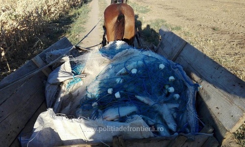 Tulcea: Un kilometru şi jumătate de plase şi 160 de kilograme de peşte, confiscate de poliţiştii de frontieră - FOTO