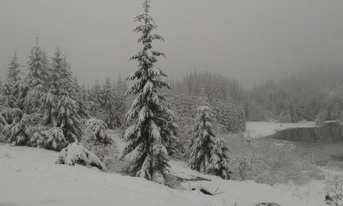 Zăpadă şi gheaţă pe traseele din Bucegi, salvamontiştii îi avertizează pe turişti să nu urce neechipaţi