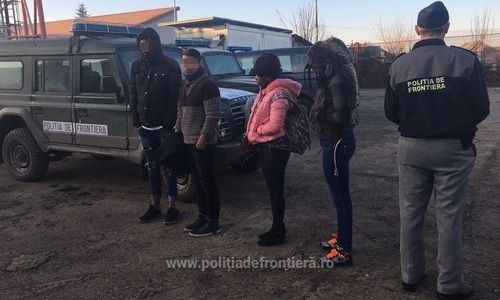Timiş: Patru solicitanţi de azil, prinşi când voiau să treacă ilegal frontiera în Ungaria, pe câmp