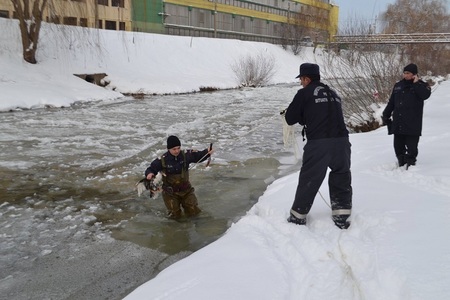 Sibiu: Pompierii au salvat două raţe sălbatice din apa îngheţată a râului Cibin; păsările vor fi duse la Grădina Zoologică - FOTO