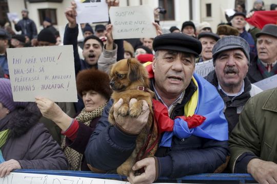 Foto: Inquam Photos / George Călin