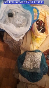 Constanţa: Zece persoane, reţinute pentru trafic de droguri; poliţiştii au găsit 30 comprimate de Xanax, 1.600 plicuri cu substanţă vegetală