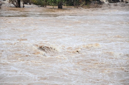 Neamţ: 20 de gospodării, inclusiv locuinţe, inundate în urma unor ploi torenţiale, iar un drum naţional a fost blocat