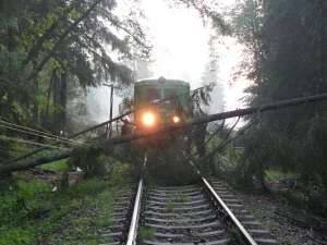 Trafic feroviar blocat la Paşcani din cauza unor copaci căzuţi pe linii, un tren care circula  către Bucureşti fiind afectat