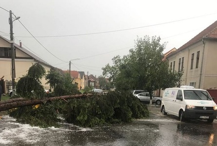 Bistriţa-Năsăud: Acoperişurile a zeci de locuinţe din două comune, afectate de grindină şi mai mulţi copaci rupţi de vânt, în urma unei furtuni

