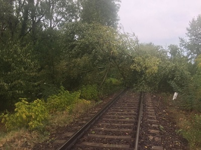 Trei trenuri blocate la Drobeta Turnu Severin după ce copaci rupţi de furtună au căzut peste linia ferată