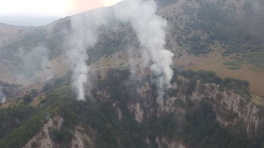 Incendiul izbucnit în urmă cu câteva zile în Parcul Natural Domogled s-a stins după ce în zonă a plouat abundent