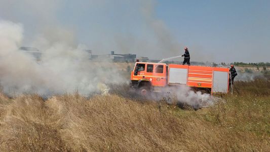 Incendiul de vegetaţie izbucnit în Parcul Natural Văcăreşti din Capitală a fost stins de pompieri
