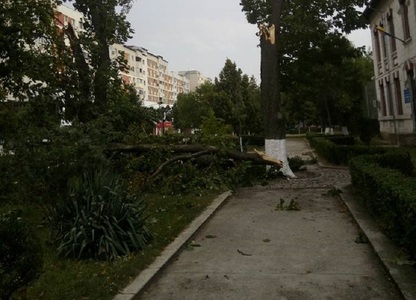 UPDATE Acoperişuri smulse şi copaci rupţi de vijelii, în mai multe localităţi din Argeş, Teleorman, Mureş şi Hunedoara. Acoperişul pieţei din Petroşani, smuls de vânt. FOTO