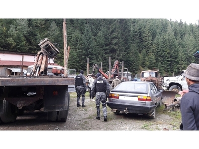 Maramureş: Percheziţii la persoane bănuite de tăieri ilegale de arbori, cu un prejudiciu de 460.000 de lei