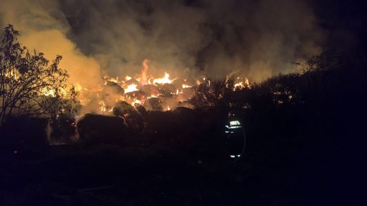 Timiş: Incendiu la un depozit de furaje în care se află trei mii de baloţi de lucernă şi fân. FOTO