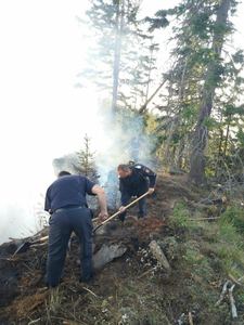 Incendiu în Parcul Naţional Domogled unde ard aproximativ 15 hectare de pădure într-o zonă greu accesibilă; intervenţia pompierilor, dificilă