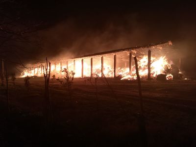 Incendiul de la Herghelia Mangalia, stins după aproape 12 ore

