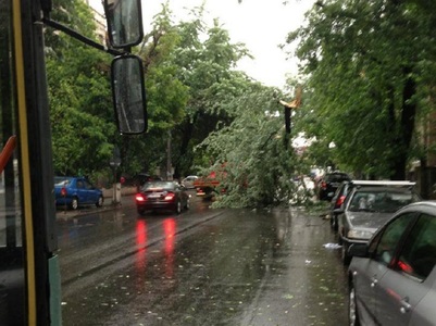 Trafic blocat în centrul Capitalei, după ce un copac s-a prăbuşit pe reţeaua de contact a troleibuzelor