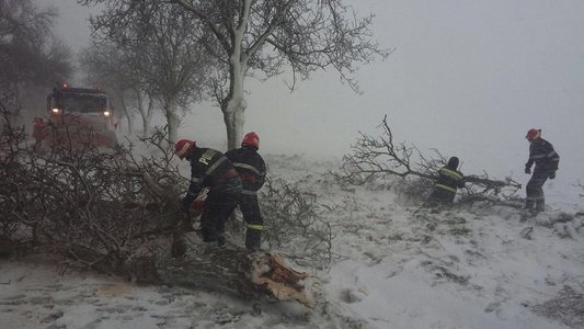 Maramureş: Trafic blocat pe DN 18 din cauza unor copaci căzuţi pe şosea