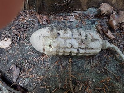 Mină antitanc descoperită pe un traseu din Masivul Bucegi