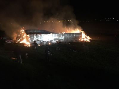 Incendiu la o stână de capre din municipiul Vaslui; mai multe animale au murit în flăcări fără a putea fi salvate. FOTO