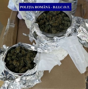 Doi tineri din Bihor, cercetaţi după ce au fost prinşi când primeau un colet cu cannabis, trimis din Spania. FOTO