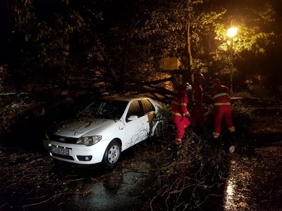 Dolj: Patru autoturisme au fost avariate, după ce mai mulţi copaci au fost doborâţi de vântul puternic - FOTO

