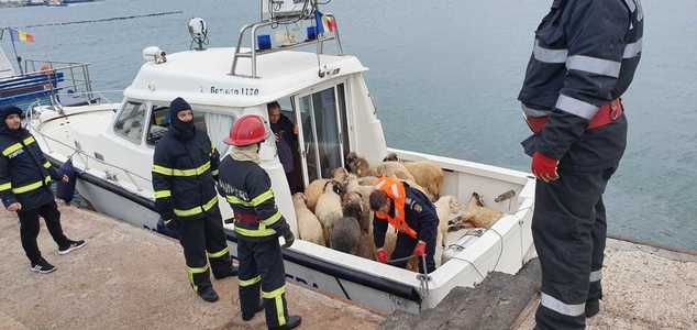 Autorităţile au început scoaterea oilor aflate pe nava care s-a răsturnat în Portul Midia - FOTO, VIDEO