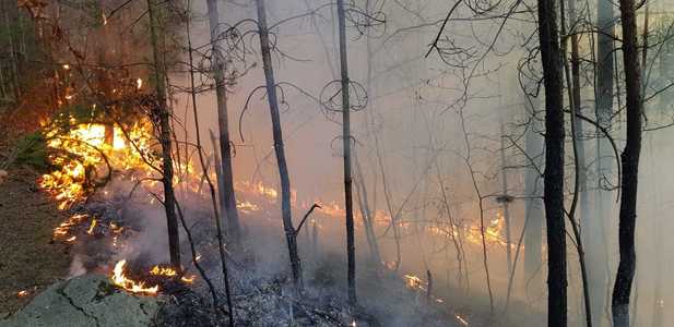 Buzău: Incendiul de la Breaza a fost stins / Focul ar fi fost pus intenţionat 