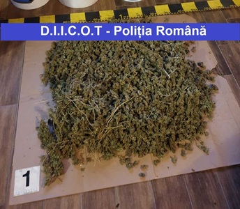 Neamţ: Patru persoane au fost reţinute pentru trafic de droguri, anchetatorii găsind la locuinţele acestora câteva kilograme de cannabis