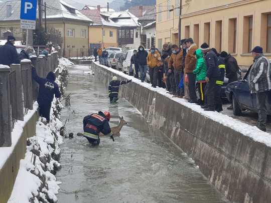 FOTO: ISU Alba