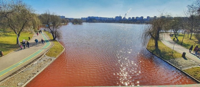 Administraţia Naţională ”Apele Române”: Culoarea roşie a apei din Lacul IOR, cauzată de o algă