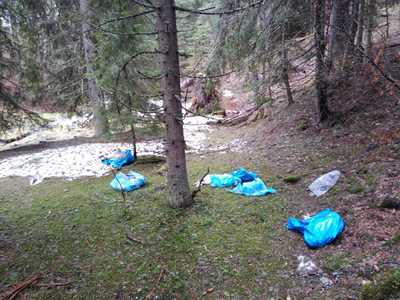 Hunedoara: Cadavrele unor câini, găsite într-o pădure din Uricani
